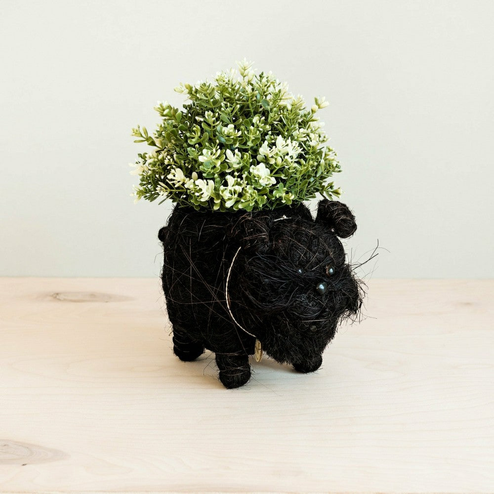 Plow & Hearth Schnauzer Planter - Coco Coir Pots