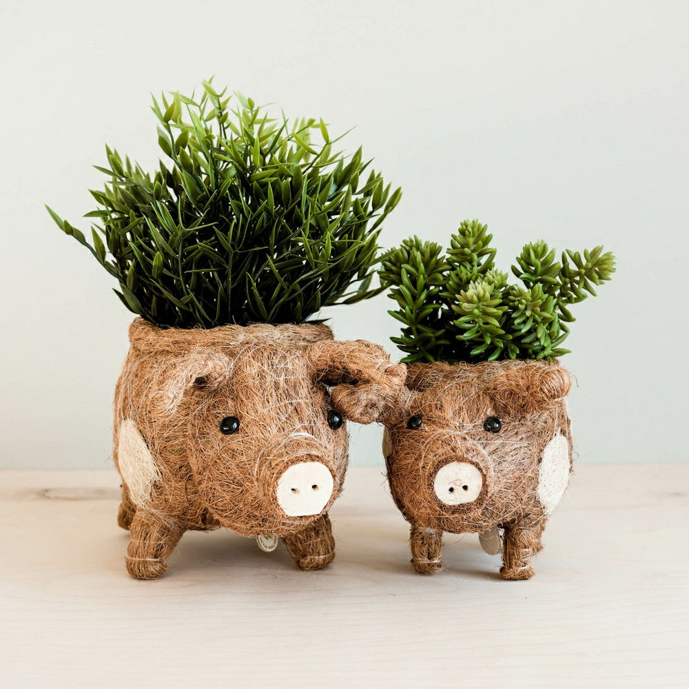 Plow & Hearth Pig Planter - Coco Coir Pots