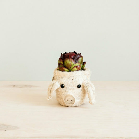 Plow & Hearth Pig Plant Pot - Animal Head Plant Pot