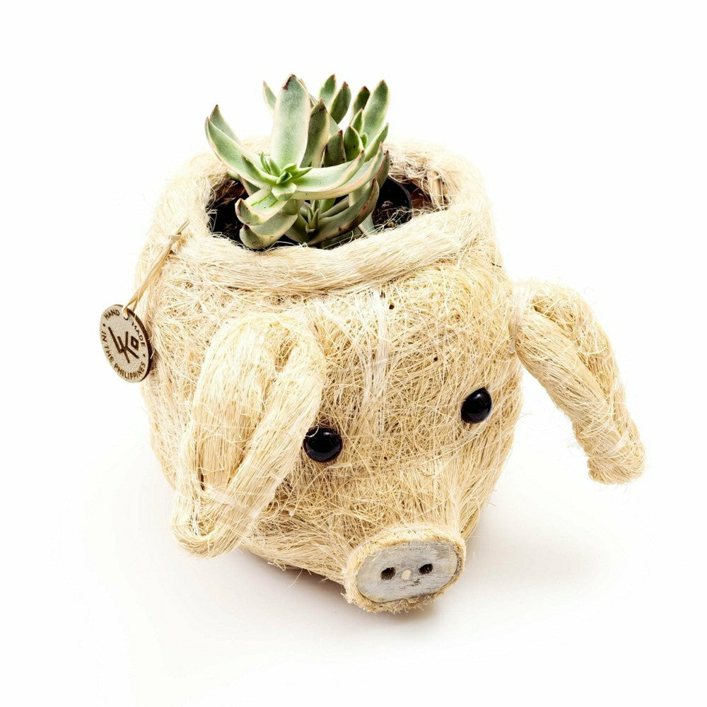 Plow & Hearth Pig Plant Pot - Animal Head Plant Pot