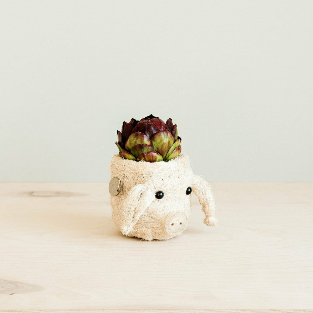 Plow & Hearth Pig Plant Pot - Animal Head Plant Pot