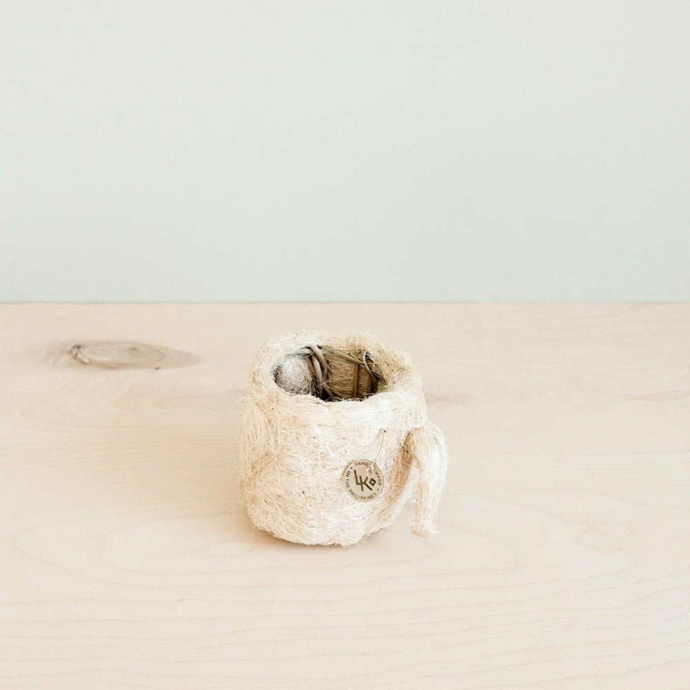 Plow & Hearth Pig Plant Pot - Animal Head Plant Pot