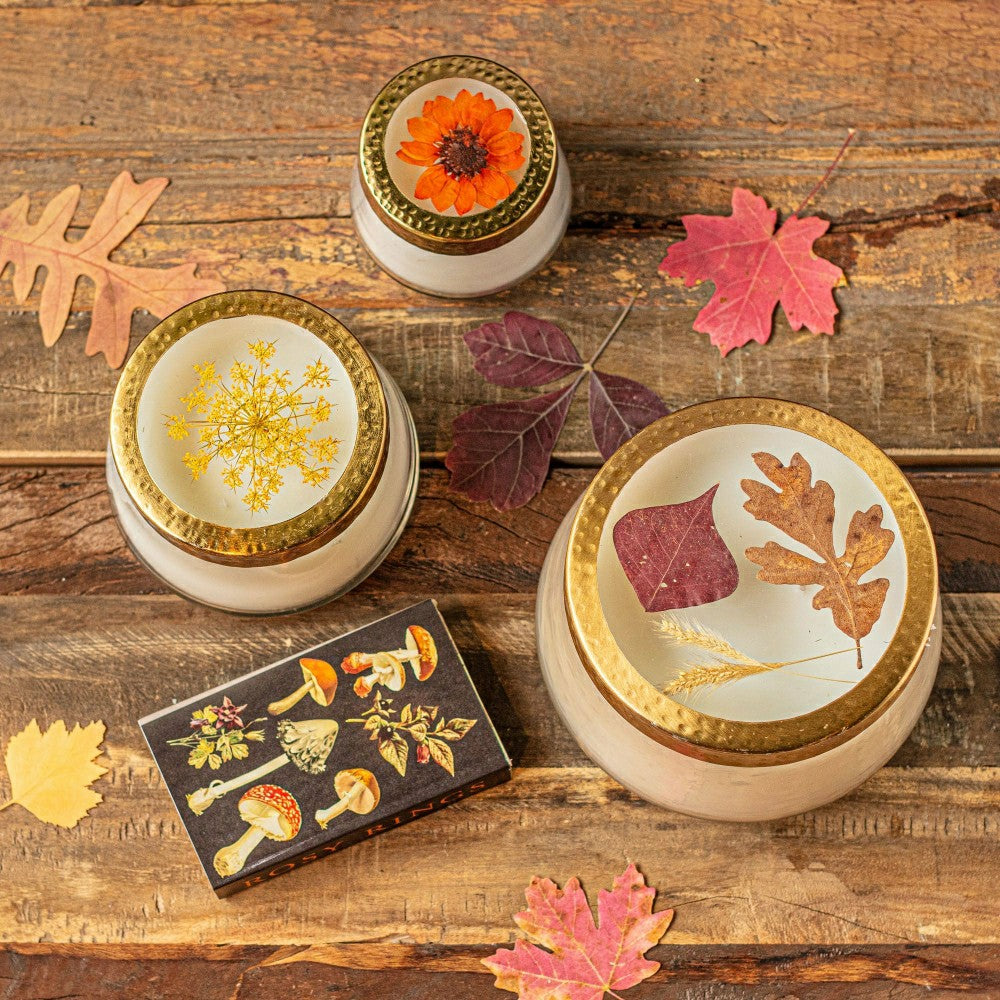 Plow & Hearth Accent Pressed Floral Candle - Harvest Pumpkin