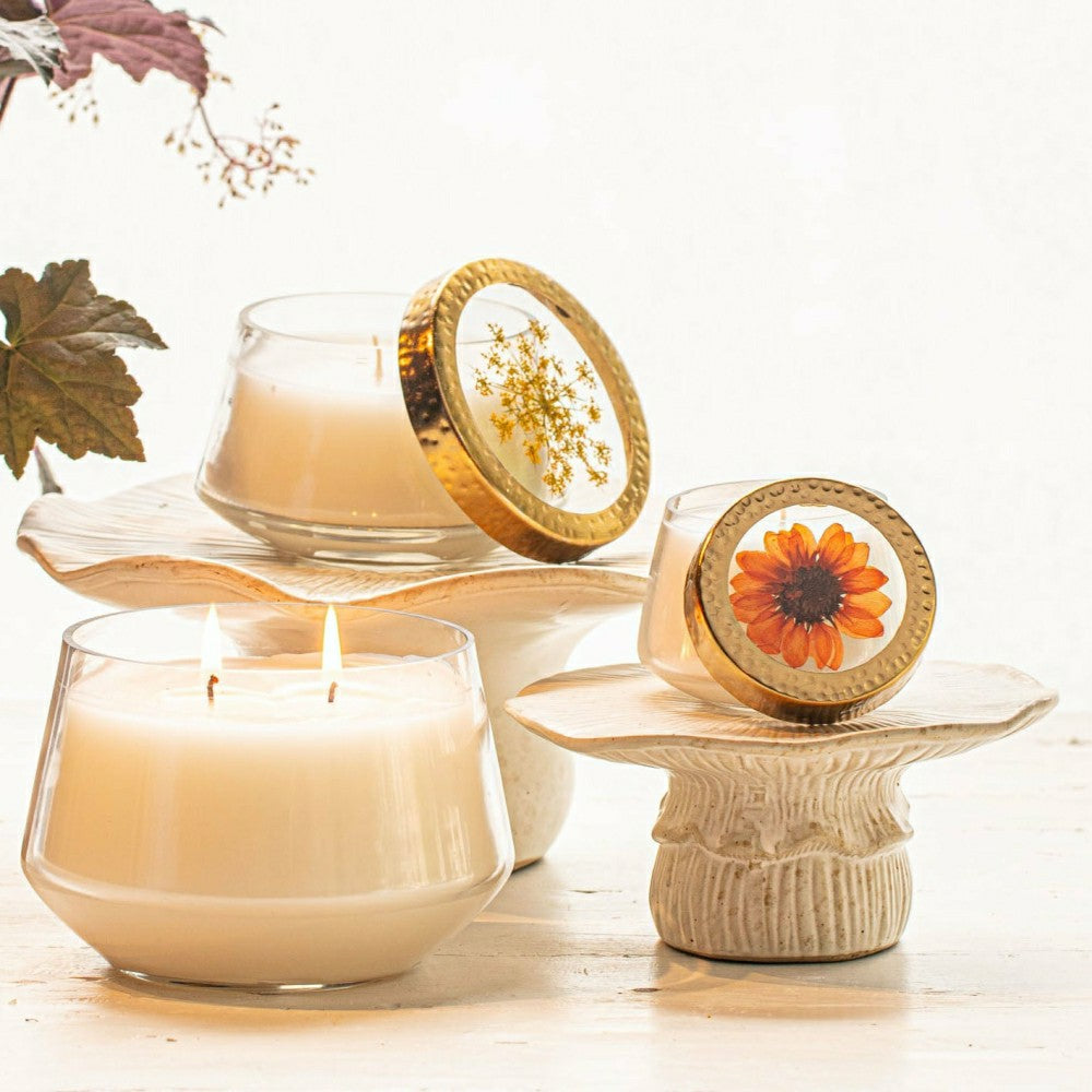 Plow & Hearth Harvest Pumpkin Large Pressed Floral Candle
