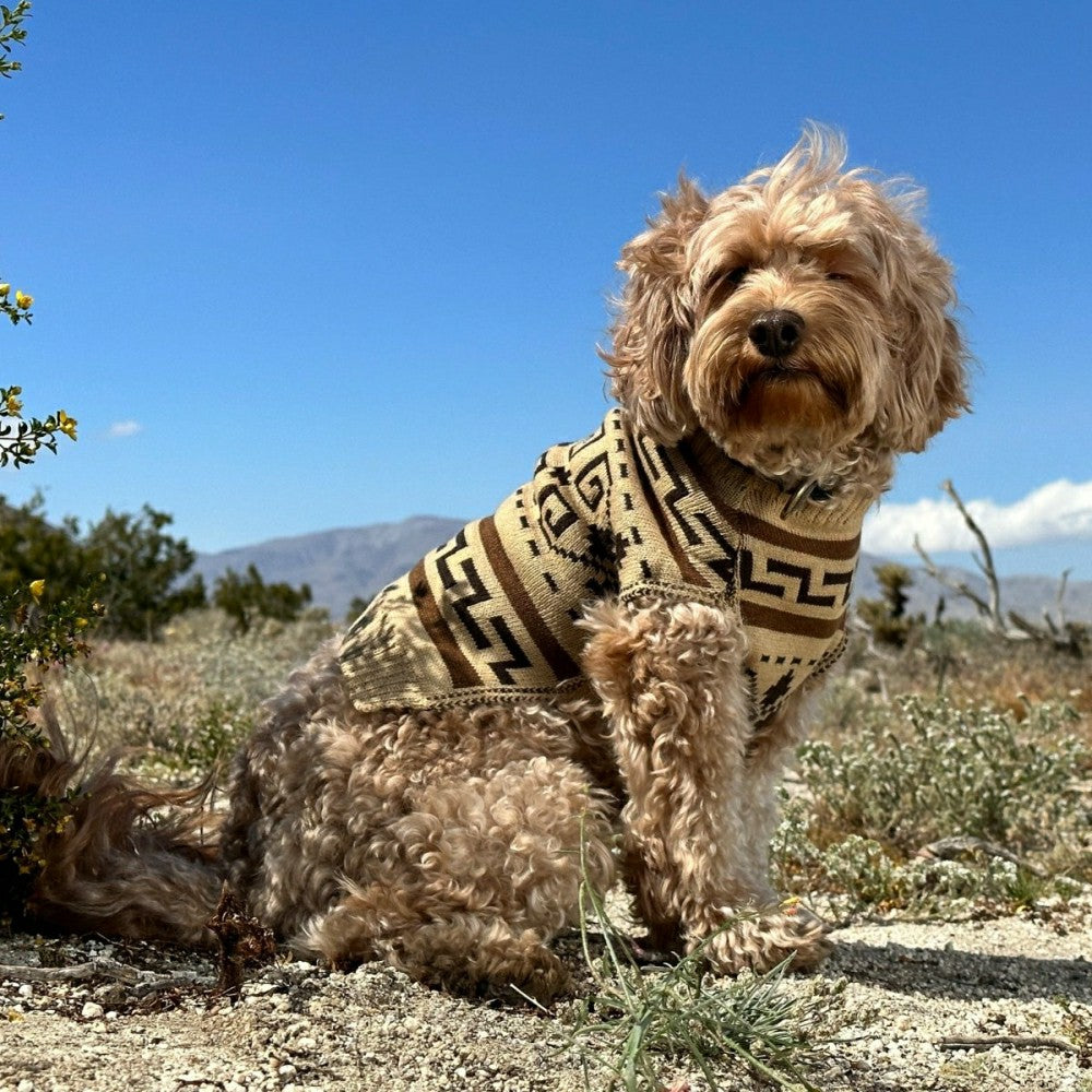Plow & Hearth Pendleton Knitted Dog Sweater
