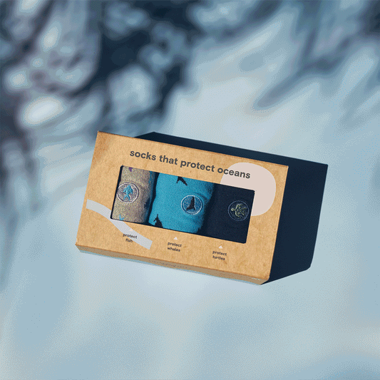 Plow & Hearth Protect Oceans Gift Box