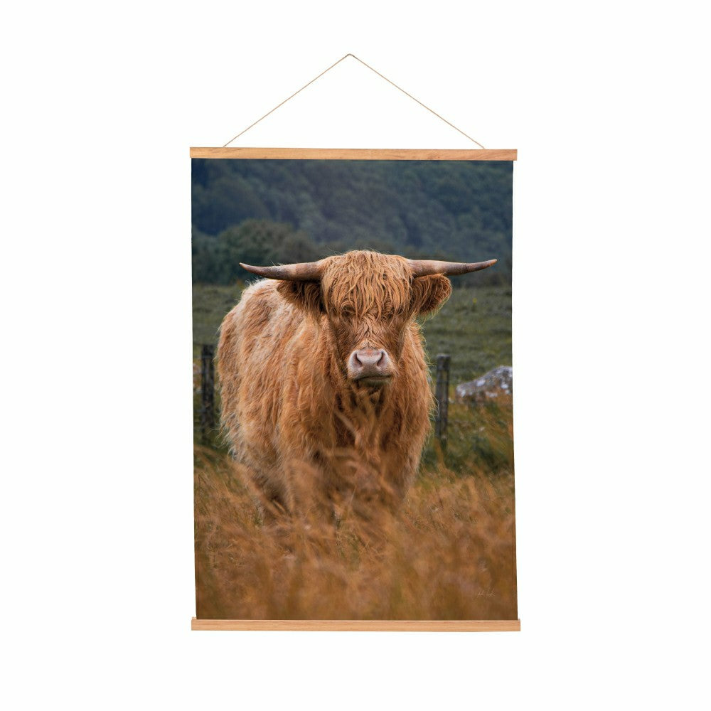 Plow & Hearth Hillside Pasture Indoor Wall Décor Canvas Tapestry, Highland Cow in Fi